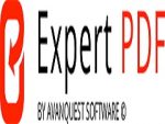 Logo Expert PDF